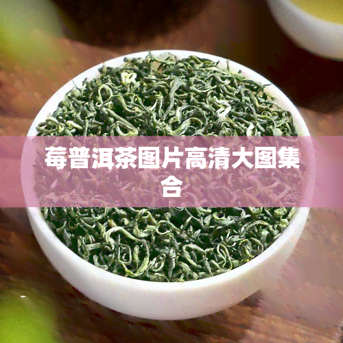 莓普洱茶图片高清大图 *** 