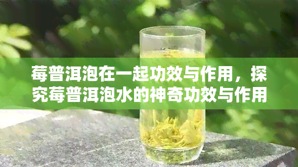 莓普洱泡在一起功效与作用，探究莓普洱泡水的神奇功效与作用