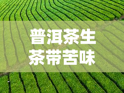 普洱茶生茶带苦味吗？口感是否能接受？原因解析