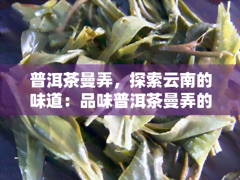 普洱茶曼弄，探索云南的味道：品味普洱茶曼弄的独特魅力