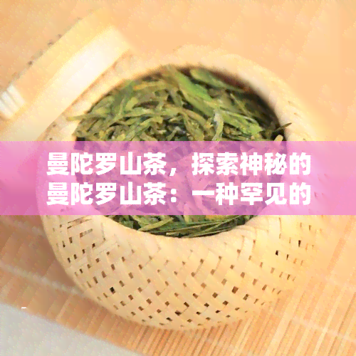 曼陀罗山茶，探索神秘的曼陀罗山茶：一种罕见的植物奇观