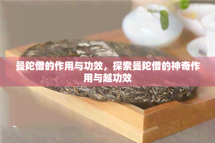 曼陀僧的作用与功效，探索曼陀僧的神奇作用与越功效