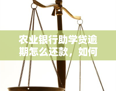 农业银行助学贷逾期怎么还款，如何处理农业银行助学贷的逾期还款？