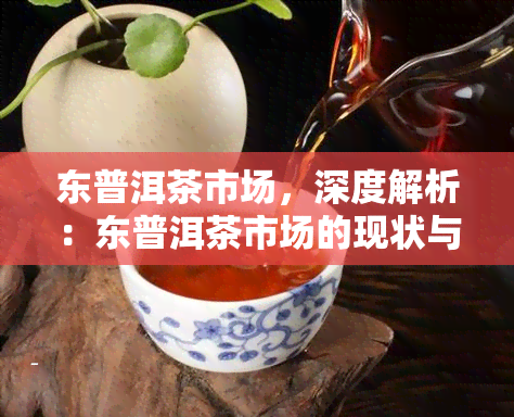 东普洱茶市场，深度解析：东普洱茶市场的现状与发展趋势