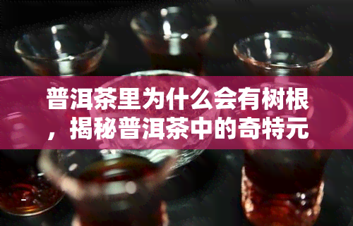 普洱茶里为什么会有树根，揭秘普洱茶中的奇特元素：为何会含有树根？