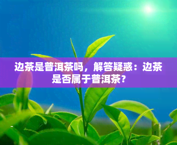 边茶是普洱茶吗，解答疑惑：边茶是否属于普洱茶？