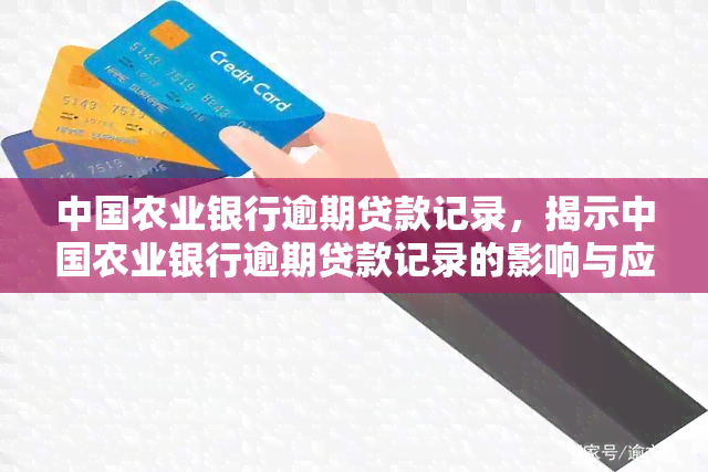 中国农业银行逾期贷款记录，揭示中国农业银行逾期贷款记录的影响与应对策略