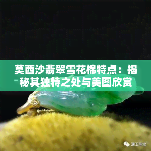 莫西沙翡翠雪花棉特点：揭秘其独特之处与美图欣赏