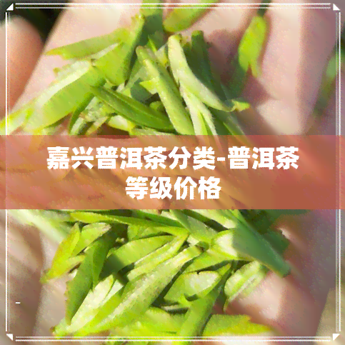 嘉兴普洱茶分类-普洱茶等级价格