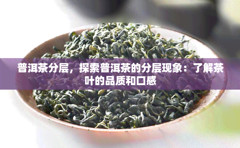 普洱茶分层，探索普洱茶的分层现象：了解茶叶的品质和口感