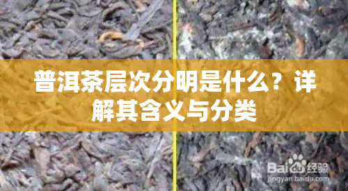 普洱茶层次分明是什么？详解其含义与分类