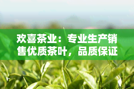 欢喜茶业：专业生产销售优质茶叶，品质保证，口碑良好，值得信！