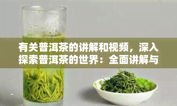 有关普洱茶的讲解和视频，深入探索普洱茶的世界：全面讲解与精彩视频