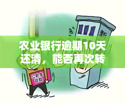 农业银行逾期10天还清，能否再次转贷？安全性如何？知乎探讨