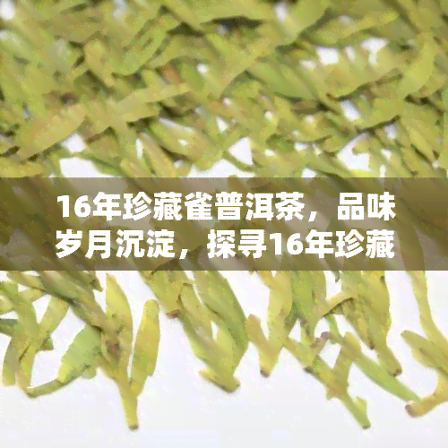 16年珍藏雀普洱茶，品味岁月沉淀，探寻16年珍藏雀普洱茶的独特魅力