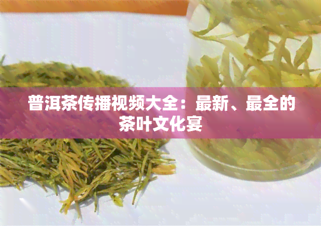 普洱茶传播视频大全：最新、最全的茶叶文化宴