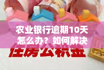 农业银行逾期10天怎么办？如何解决？