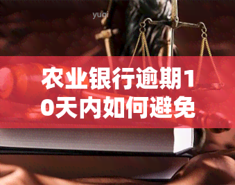 农业银行逾期10天内如何避免，农业银行逾期：如何在10天内避免负面影响？