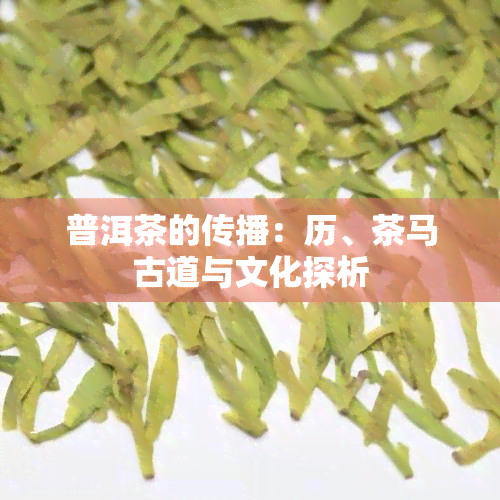 普洱茶的传播：历、茶马古道与文化探析