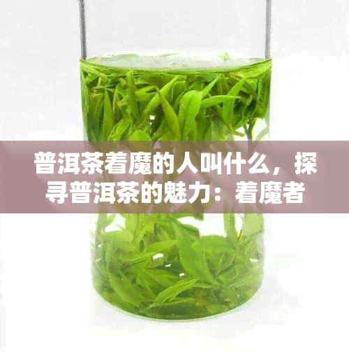 普洱茶着魔的人叫什么，探寻普洱茶的魅力：着魔者的身份是什么？