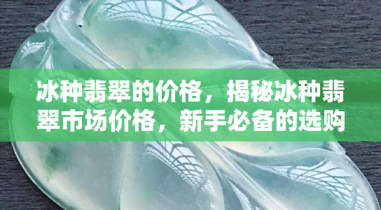 冰种翡翠的价格，揭秘冰种翡翠市场价格，新手必备的选购指南！