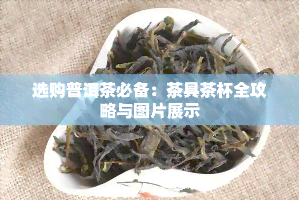 选购普洱茶必备：茶具茶杯全攻略与图片展示