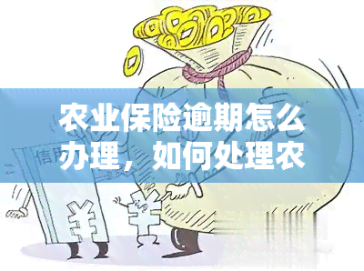 农业保险逾期怎么办理，如何处理农业保险逾期？操作步骤解析