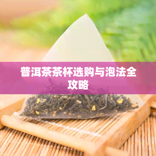 普洱茶茶杯选购与泡法全攻略