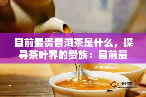 目前最贵普洱茶是什么，探寻茶叶界的贵族：目前最贵的普洱茶是哪一款？