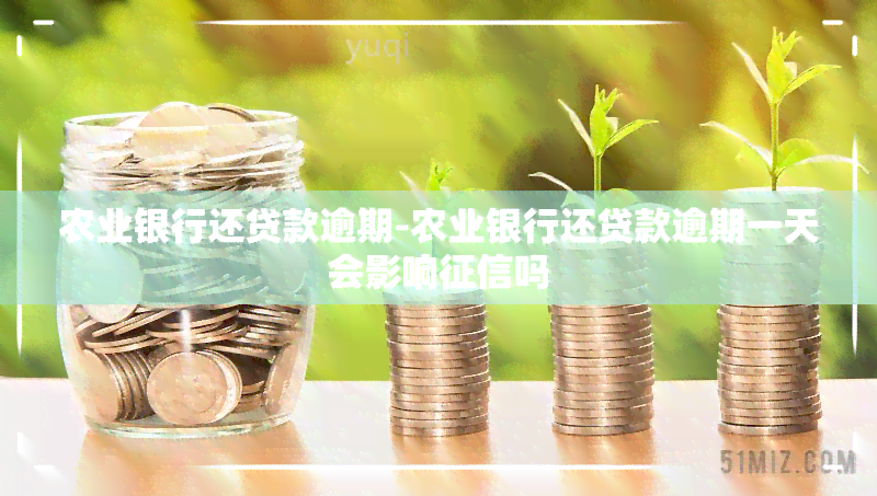 农业银行还贷款逾期-农业银行还贷款逾期一天会影响吗