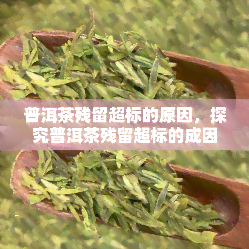 普洱茶残留超标的原因，探究普洱茶残留超标的成因