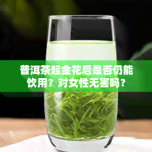 普洱茶起金花后是否仍能饮用？对女性无害吗？