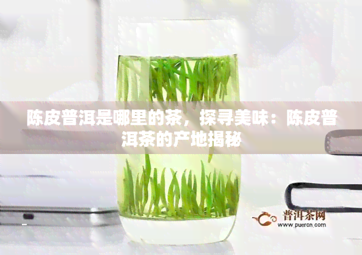 陈皮普洱是哪里的茶，探寻美味：陈皮普洱茶的产地揭秘