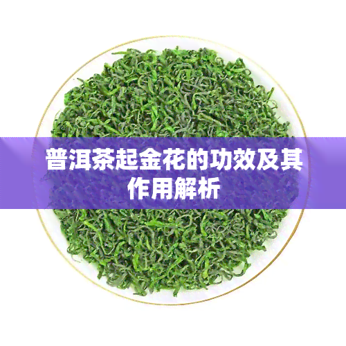 普洱茶起金花的功效及其作用解析