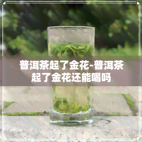 普洱茶起了金花-普洱茶起了金花还能喝吗