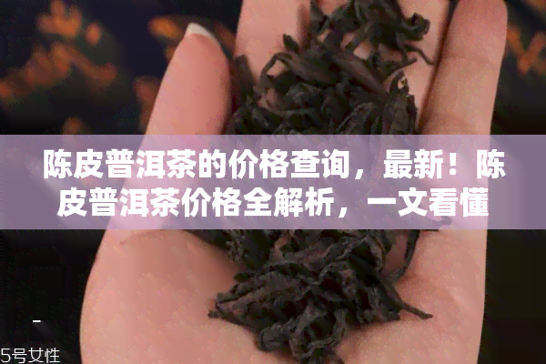 陈皮普洱茶的价格查询，最新！陈皮普洱茶价格全解析，一文看懂市场行情