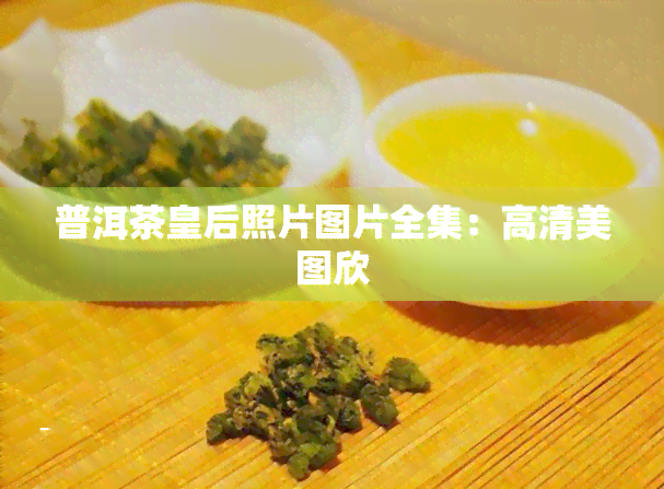 普洱茶皇后照片图片全集：高清美图欣