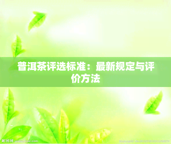 普洱茶评选标准：最新规定与评价方法