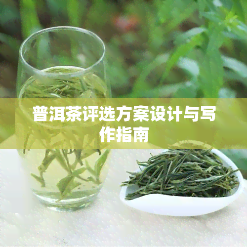 普洱茶评选方案设计与写作指南