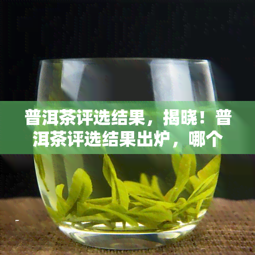 普洱茶评选结果，揭晓！普洱茶评选结果出炉，哪个更胜一筹？