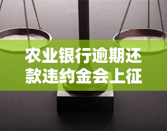 农业银行逾期还款违约金会上吗，是否会影响信用？探讨农业银行逾期还款的违约金是否会上