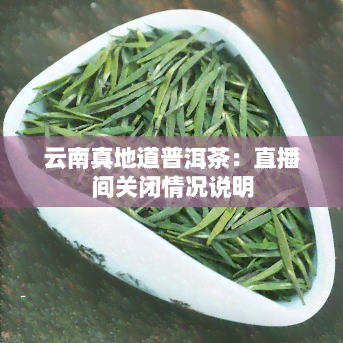 云南真地道普洱茶：直播间关闭情况说明