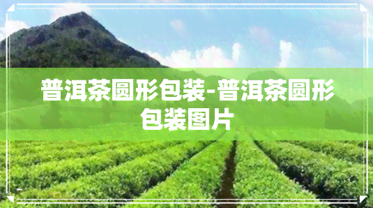 普洱茶圆形包装-普洱茶圆形包装图片