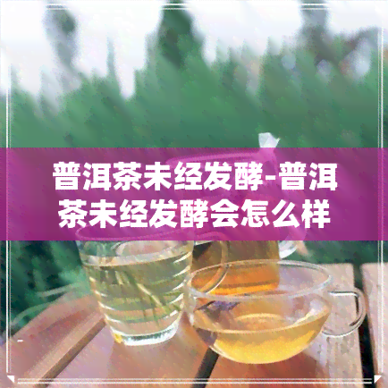 普洱茶未经发酵-普洱茶未经发酵会怎么样