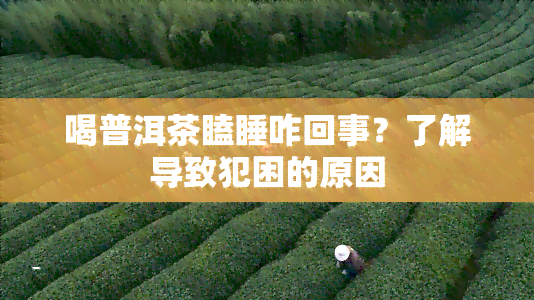 喝普洱茶瞌睡咋回事？了解导致犯困的原因