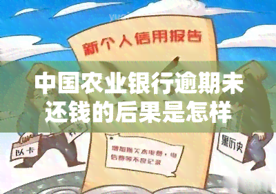 中国农业银行逾期未还钱的后果是怎样，深入了解：中国农业银行逾期未还钱可能带来的严重后果