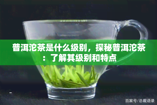 普洱沱茶是什么级别，探秘普洱沱茶：了解其级别和特点