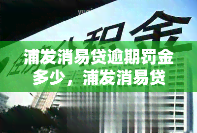 浦发消易贷逾期罚金多少，浦发消易贷：逾期罚金如何计算？