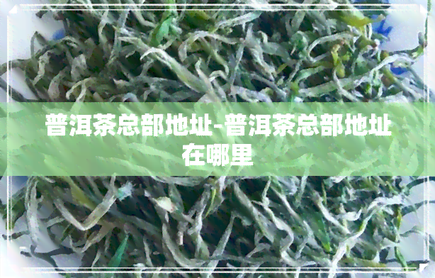 普洱茶总部地址-普洱茶总部地址在哪里