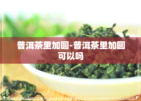 普洱茶里加圆-普洱茶里加圆可以吗